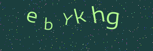 Validation image