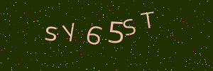 Validation image