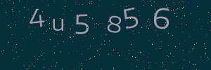 Validation image