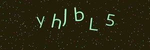 Validation image