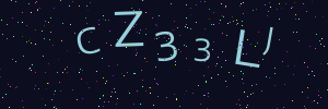 Validation image