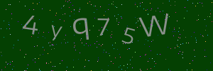 Validation image