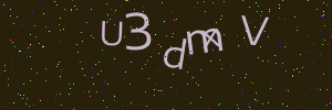 Validation image