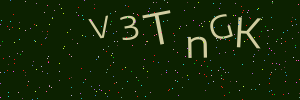 Validation image