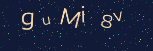 Validation image
