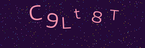 Validation image