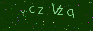 Validation image