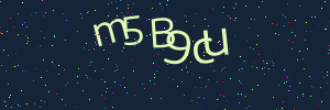 Validation image