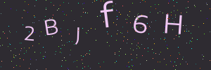 Validation image